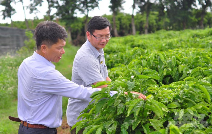 Trung tâm cây giống eakmat