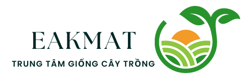 Vườn Ươm Eakmat